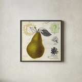 Pear Notes by Studio Mousseau. Shown in a sleek black glass frame for a contemporary gallery look. Available as an archival giclee rolled canvas, fine art paper, or poster print. SKU 10742a.