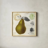Pear Notes by Studio Mousseau. Shown in a natural wood glass frame for a timeless modern aesthetic. Available as an archival giclee rolled canvas, fine art paper, or poster print. SKU 10742a.