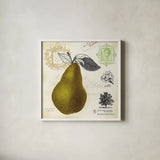 Pear Notes by Studio Mousseau. Shown in a crisp white glass frame for a clean and minimalist style. Available as an archival giclee rolled canvas, fine art paper, or poster print. SKU 10742a.