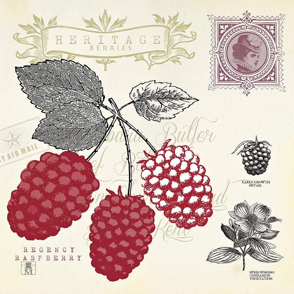 Raspberry Notes by Studio Mousseau. SKU 10743a. Archival Giclee Fine art print for wall decor.