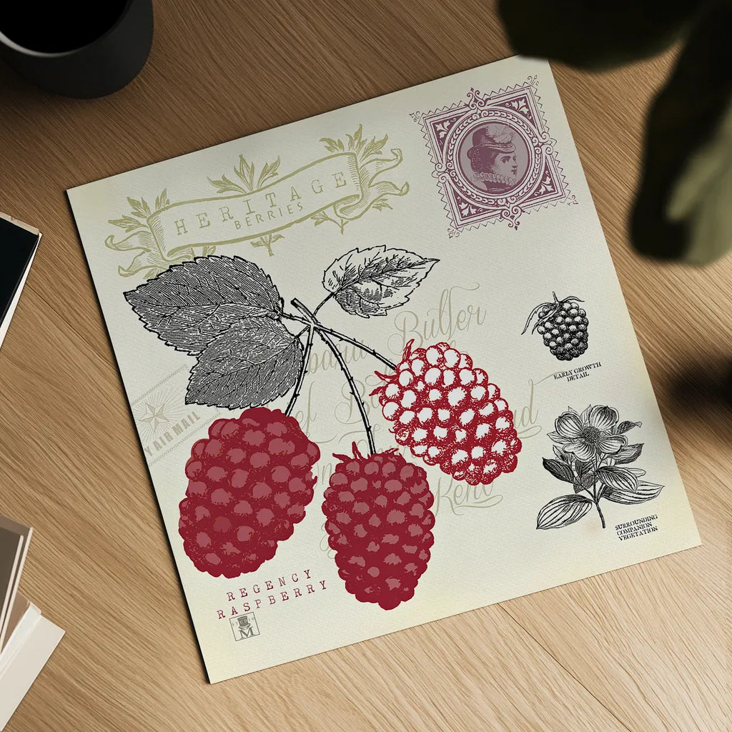 Raspberry Notes by Studio Mousseau. Shown as a detailed flat fine art print, highlighting archival giclee quality. Available as an archival giclee rolled canvas, fine art paper, or poster print. SKU 10743a.