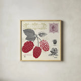Raspberry Notes by Studio Mousseau. Shown in a natural wood glass frame for a timeless modern aesthetic. Available as an archival giclee rolled canvas, fine art paper, or poster print. SKU 10743a.