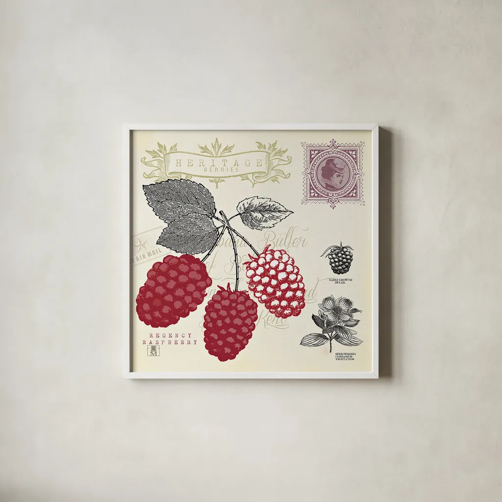 Raspberry Notes by Studio Mousseau. Shown in a crisp white glass frame for a clean and minimalist style. Available as an archival giclee rolled canvas, fine art paper, or poster print. SKU 10743a.