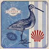 Sea Bird III by Studio Mousseau. SKU 24705a. Archival Giclee Fine art print for wall decor.