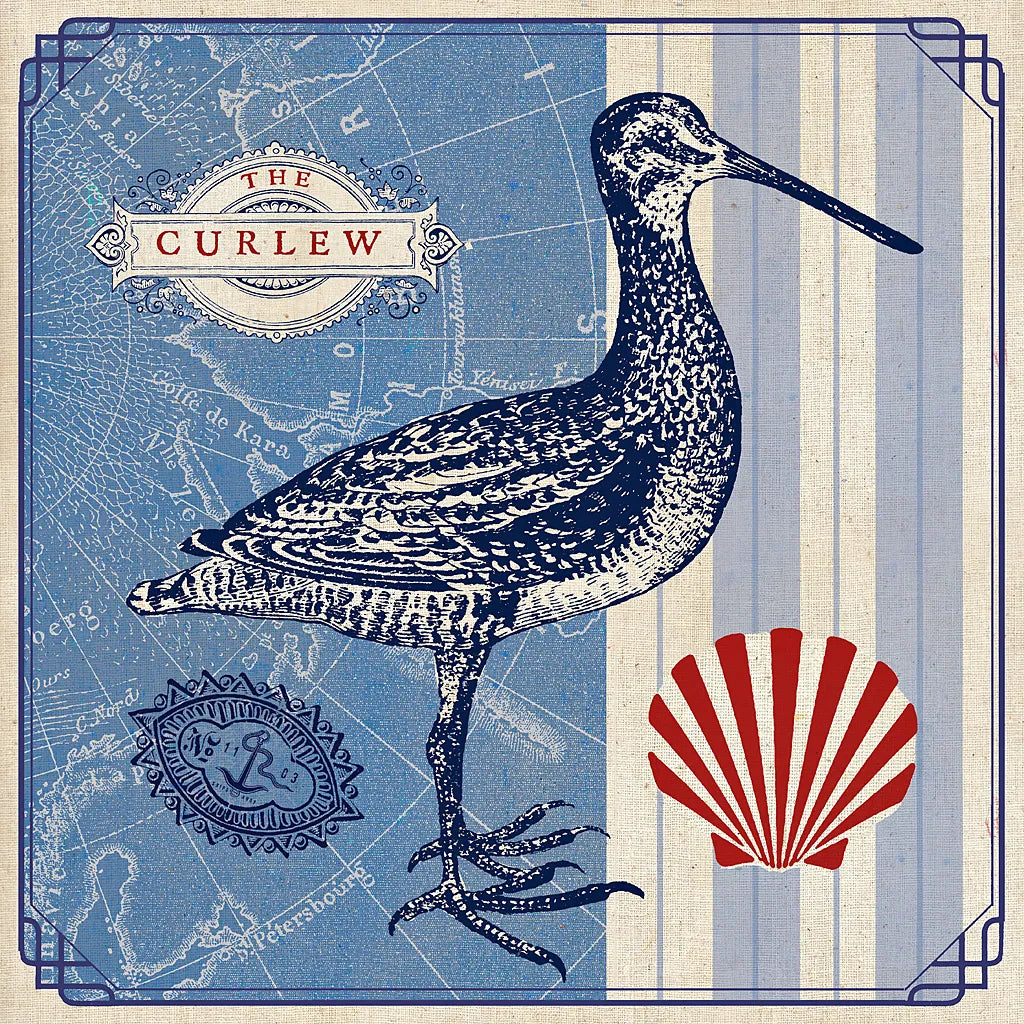 Sea Bird III by Studio Mousseau. SKU 24705a. Archival Giclee Fine art print for wall decor.