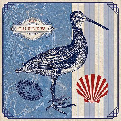 Sea Bird III by Studio Mousseau. SKU 24705a. Archival Giclee Fine art print for wall decor.