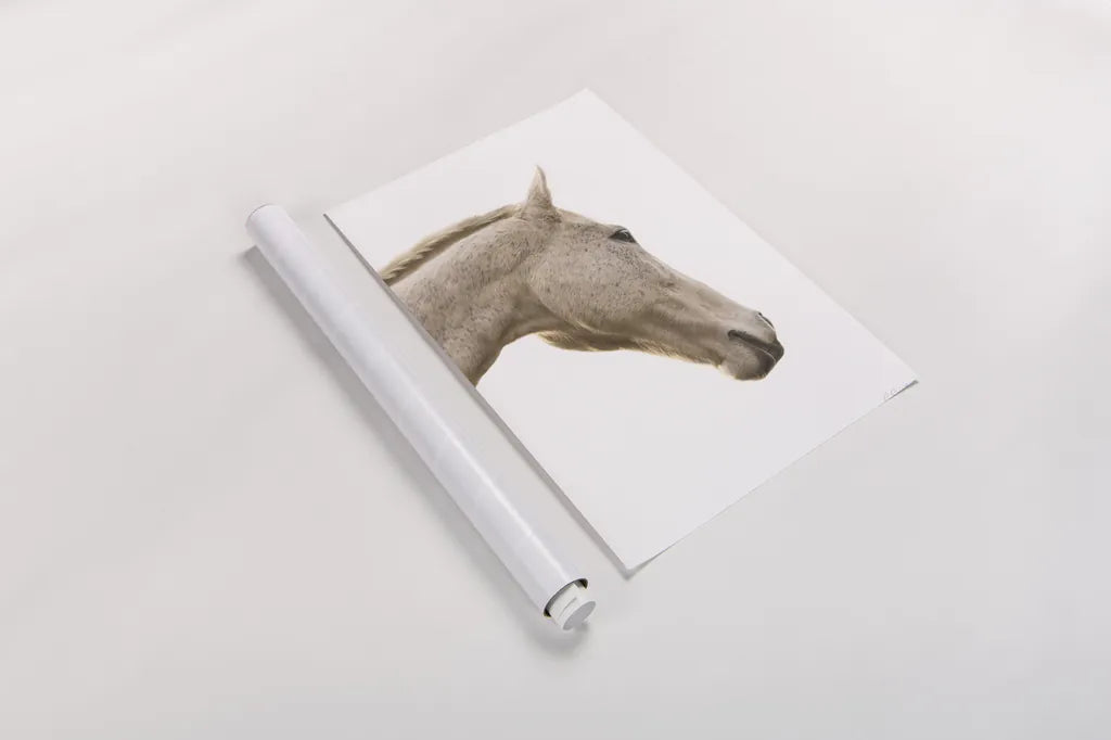 A Horse Named Lady I by Sue Schlabach. shown as a rolled paper print. Available as archival giclee rolled canvas, fine art paper, or poster print. SKU 72125h.