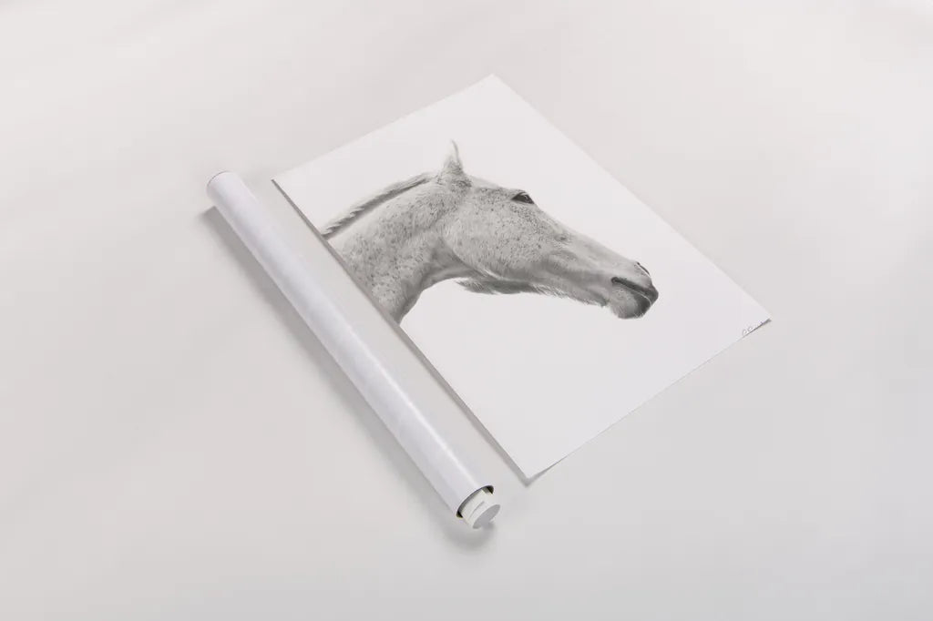 A Horse Named Lady I BW by Sue Schlabach. shown as a rolled paper print. Available as archival giclee rolled canvas, fine art paper, or poster print. SKU 72127h.