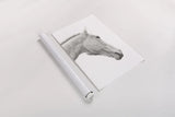 A Horse Named Lady I BW by Sue Schlabach. shown as a rolled paper print. Available as archival giclee rolled canvas, fine art paper, or poster print. SKU 72127h.