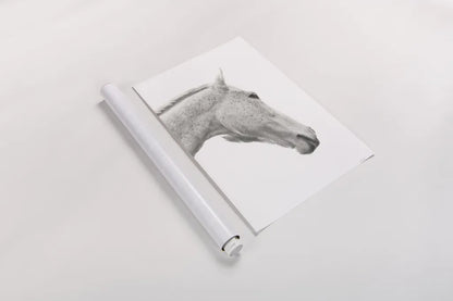 A Horse Named Lady I BW by Sue Schlabach. shown as a rolled paper print. Available as archival giclee rolled canvas, fine art paper, or poster print. SKU 72127h.