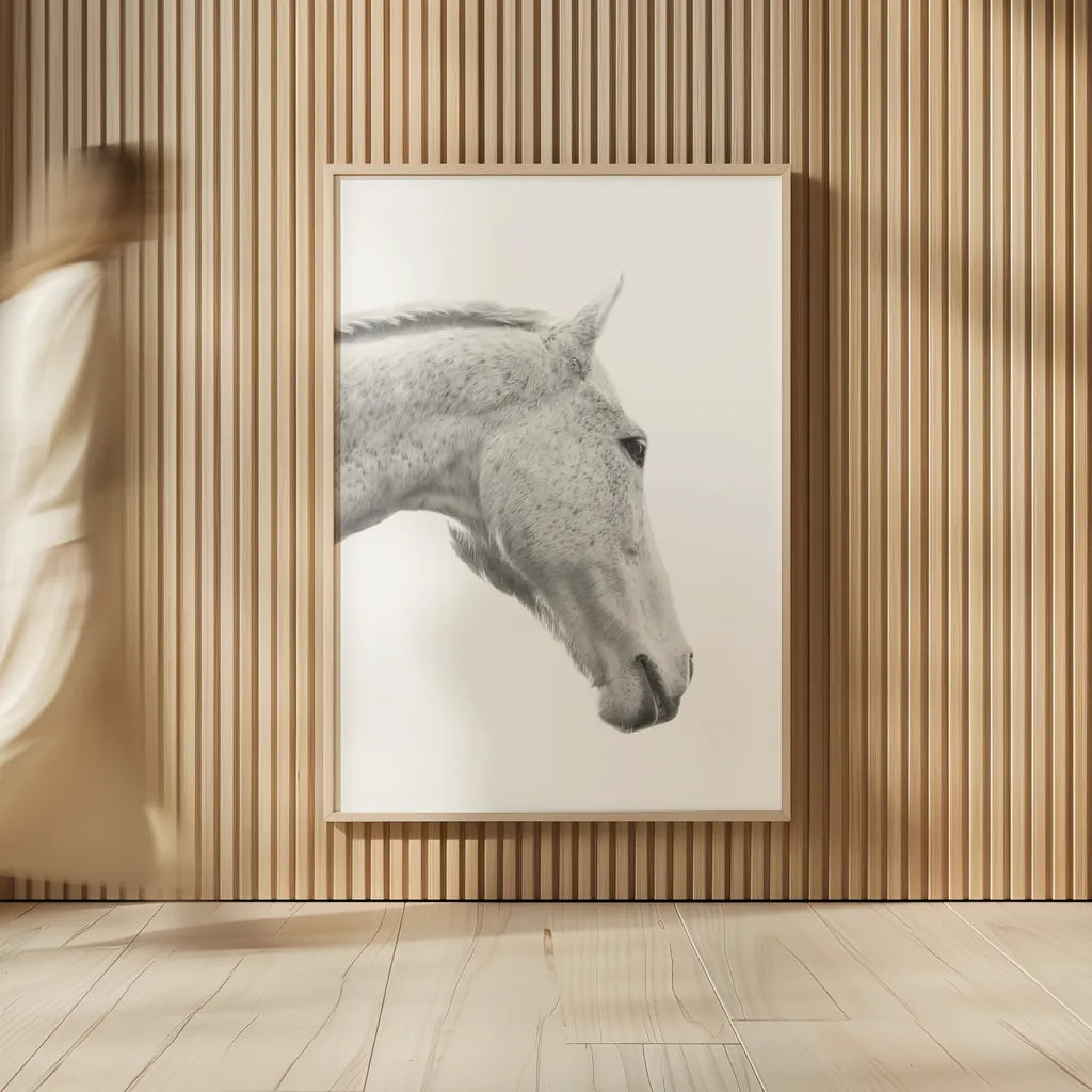 A Horse Named Lady I BW by Sue Schlabach. shown as over sized large wall art. Available as an archival giclee rolled canvas, fine art paper, or poster print. SKU 72127h.