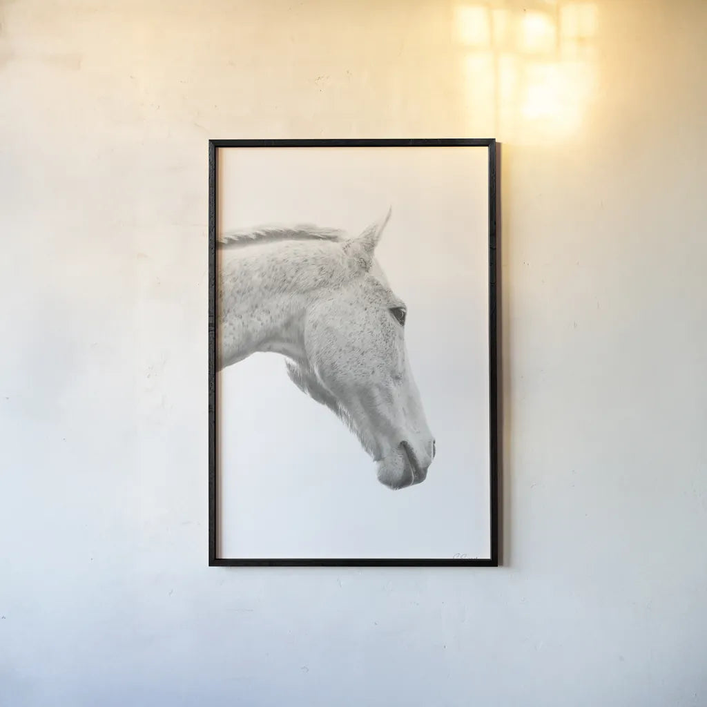 A Horse Named Lady I BW by Sue Schlabach. shown as a paper print in a black flame. Available as a archival giclee rolled canvas, fine art paper, or poster print. SKU 72127h.