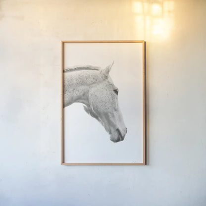 A Horse Named Lady I BW by Sue Schlabach. shown as a paper print in a natural frame. Available as a archival giclee rolled canvas, fine art paper, or poster print. SKU 72127h.