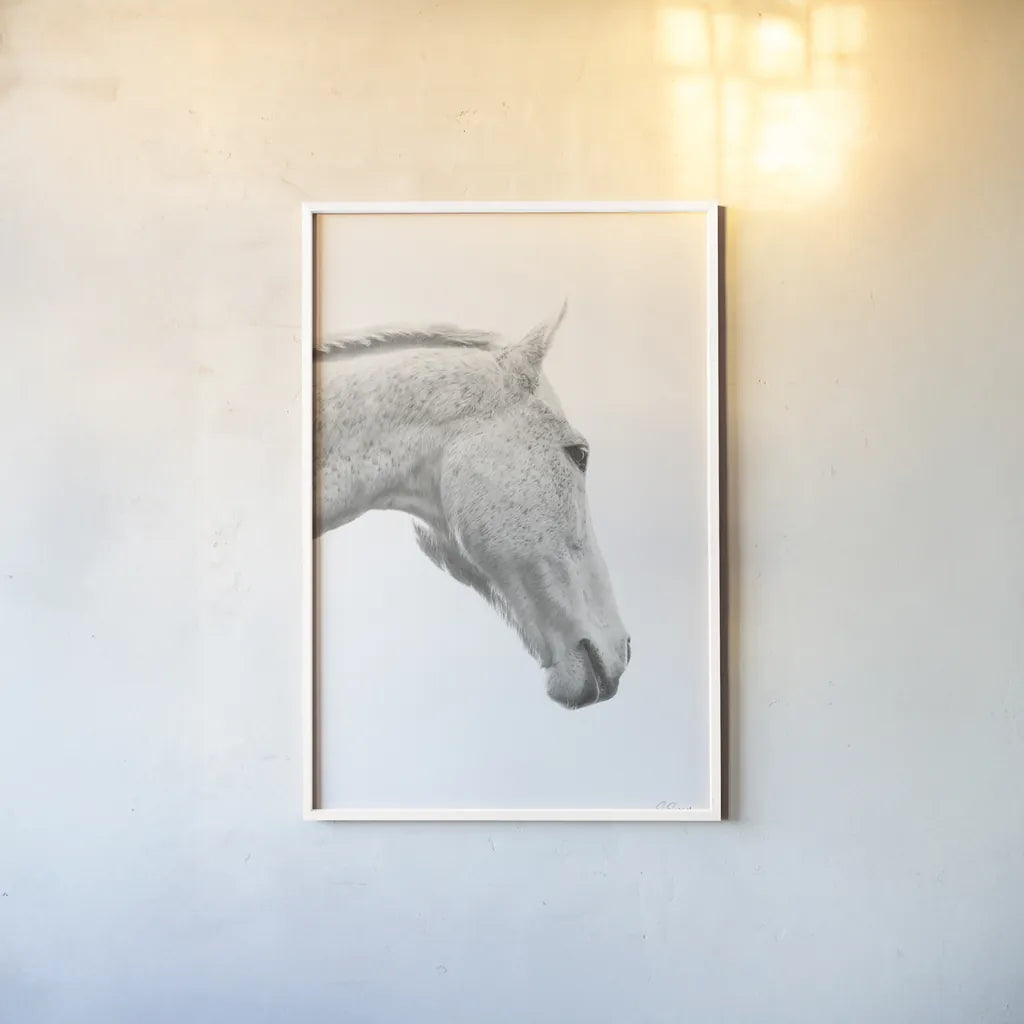 A Horse Named Lady I BW by Sue Schlabach. shown as a paper print in a white frame. Available as a archival giclee rolled canvas, fine art paper, or poster print. SKU 72127h.