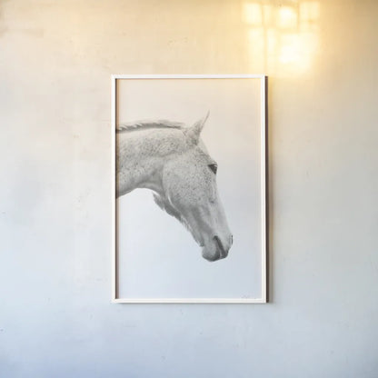 A Horse Named Lady I BW by Sue Schlabach. shown as a paper print in a white frame. Available as a archival giclee rolled canvas, fine art paper, or poster print. SKU 72127h.