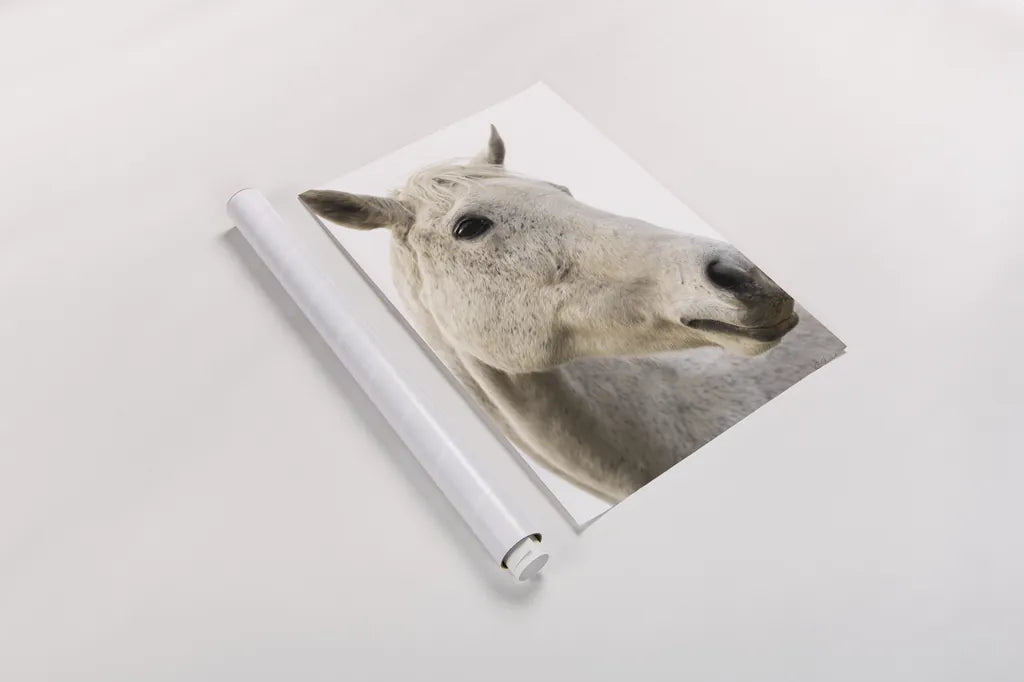 A Horse Named Lady II by Sue Schlabach. shown as a rolled paper print. Available as archival giclee rolled canvas, fine art paper, or poster print. SKU 72126h.