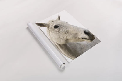 A Horse Named Lady II by Sue Schlabach. shown as a rolled paper print. Available as archival giclee rolled canvas, fine art paper, or poster print. SKU 72126h.