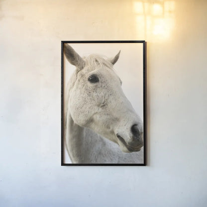 A Horse Named Lady II by Sue Schlabach. shown as a paper print in a black flame. Available as a archival giclee rolled canvas, fine art paper, or poster print. SKU 72126h.