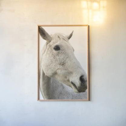 A Horse Named Lady II by Sue Schlabach. shown as a paper print in a natural frame. Available as a archival giclee rolled canvas, fine art paper, or poster print. SKU 72126h.