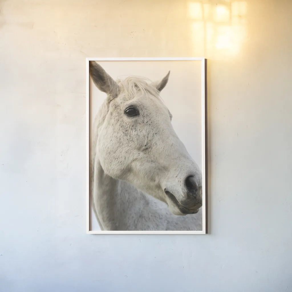 A Horse Named Lady II by Sue Schlabach. shown as a paper print in a white frame. Available as a archival giclee rolled canvas, fine art paper, or poster print. SKU 72126h.