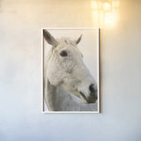 A Horse Named Lady II by Sue Schlabach. shown as a paper print in a white frame. Available as a archival giclee rolled canvas, fine art paper, or poster print. SKU 72126h.