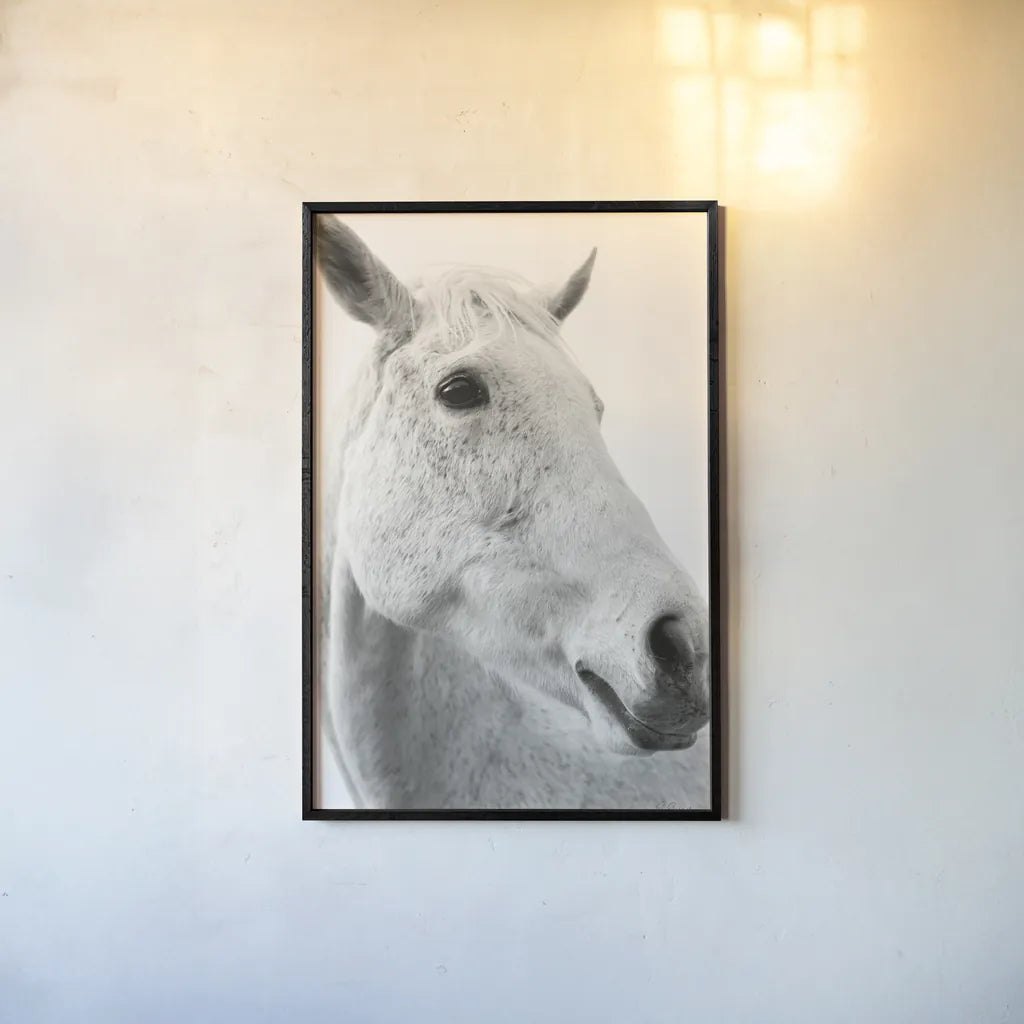 A Horse Named Lady II BW by Sue Schlabach. shown as a paper print in a black flame. Available as a archival giclee rolled canvas, fine art paper, or poster print. SKU 72128h.