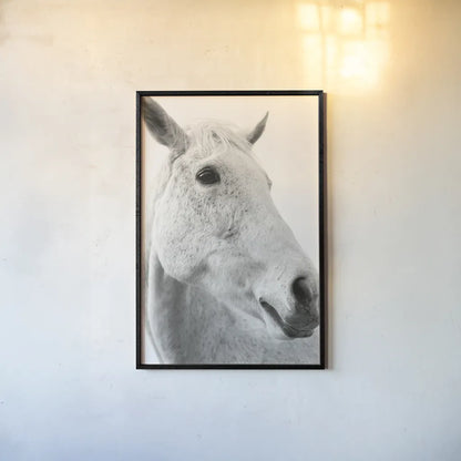A Horse Named Lady II BW by Sue Schlabach. shown as a paper print in a black flame. Available as a archival giclee rolled canvas, fine art paper, or poster print. SKU 72128h.