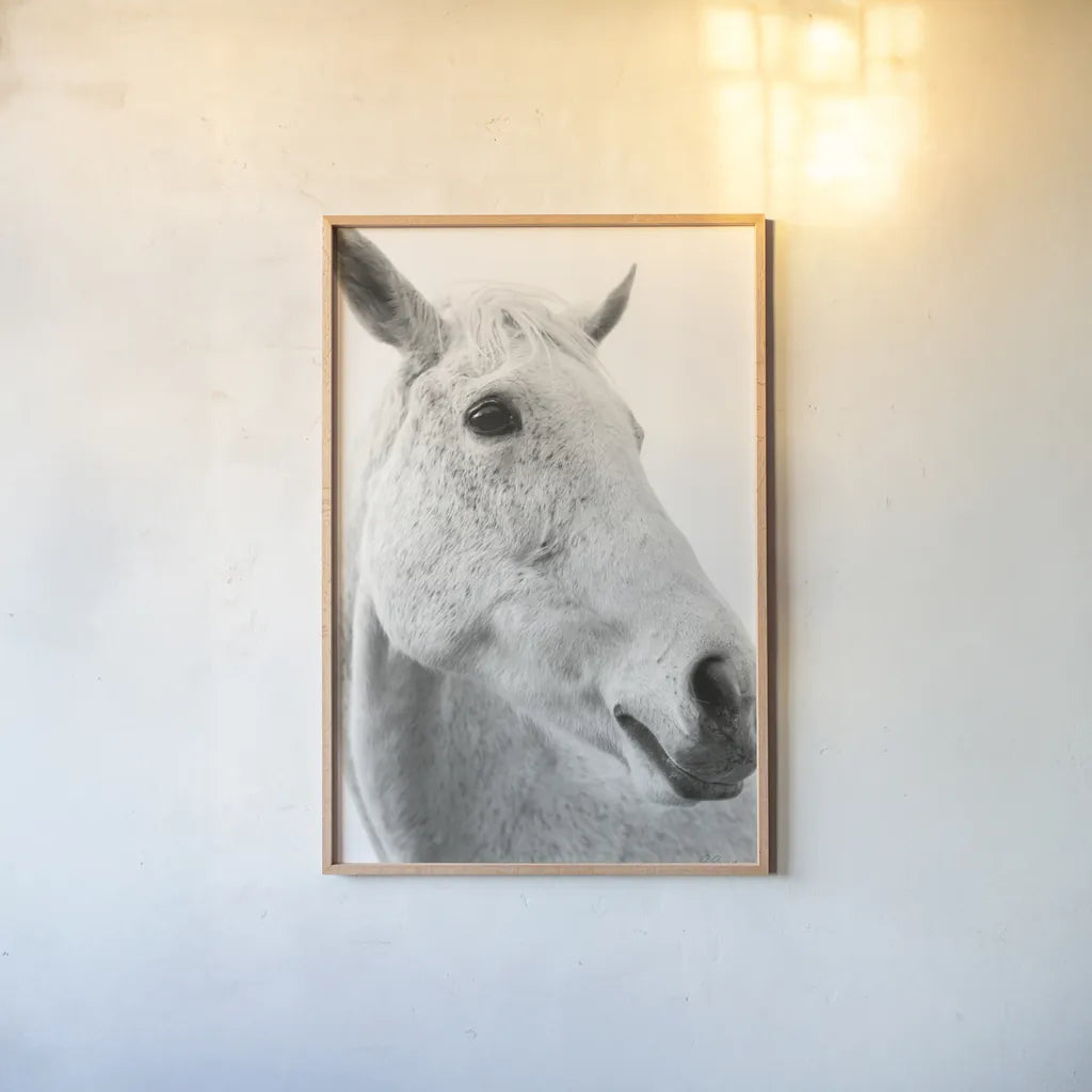 A Horse Named Lady II BW by Sue Schlabach. shown as a paper print in a natural frame. Available as a archival giclee rolled canvas, fine art paper, or poster print. SKU 72128h.