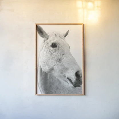 A Horse Named Lady II BW by Sue Schlabach. shown as a paper print in a natural frame. Available as a archival giclee rolled canvas, fine art paper, or poster print. SKU 72128h.