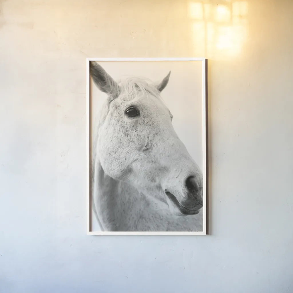 A Horse Named Lady II BW by Sue Schlabach. shown as a paper print in a white frame. Available as a archival giclee rolled canvas, fine art paper, or poster print. SKU 72128h.