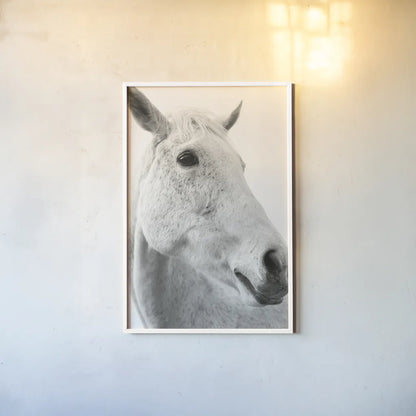 A Horse Named Lady II BW by Sue Schlabach. shown as a paper print in a white frame. Available as a archival giclee rolled canvas, fine art paper, or poster print. SKU 72128h.