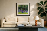 A Year of Lupines by Sue Schlabach. Displayed in a glass frame with matte in a clean modern living room. Available as an archival giclee rolled canvas, fine art paper, or poster print. SKU 88563a.