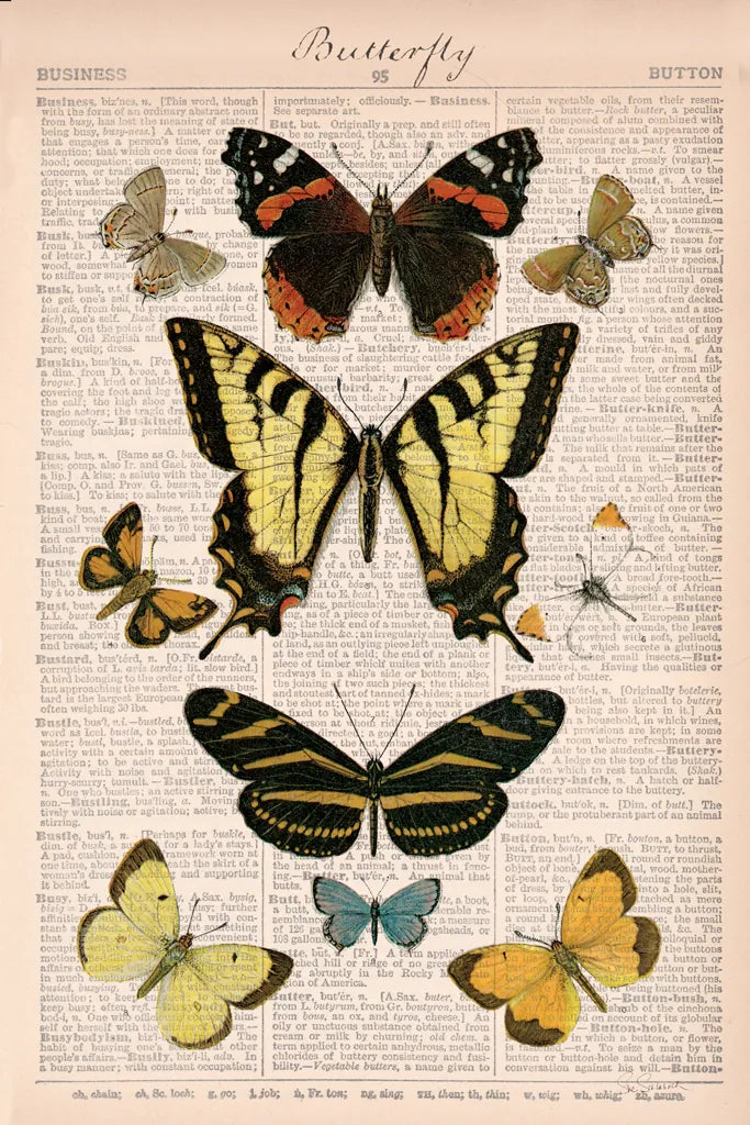 American Butterflies I by Sue Schlabach. SKU 68218h. Archival Giclee Fine art print for wall decor.