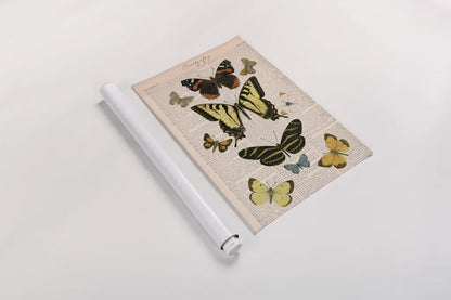 American Butterflies I by Sue Schlabach. shown as a rolled paper print. Available as archival giclee rolled canvas, fine art paper, or poster print. SKU 68218h.
