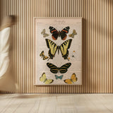 American Butterflies I by Sue Schlabach. shown as over sized large wall art. Available as an archival giclee rolled canvas, fine art paper, or poster print. SKU 68218h.
