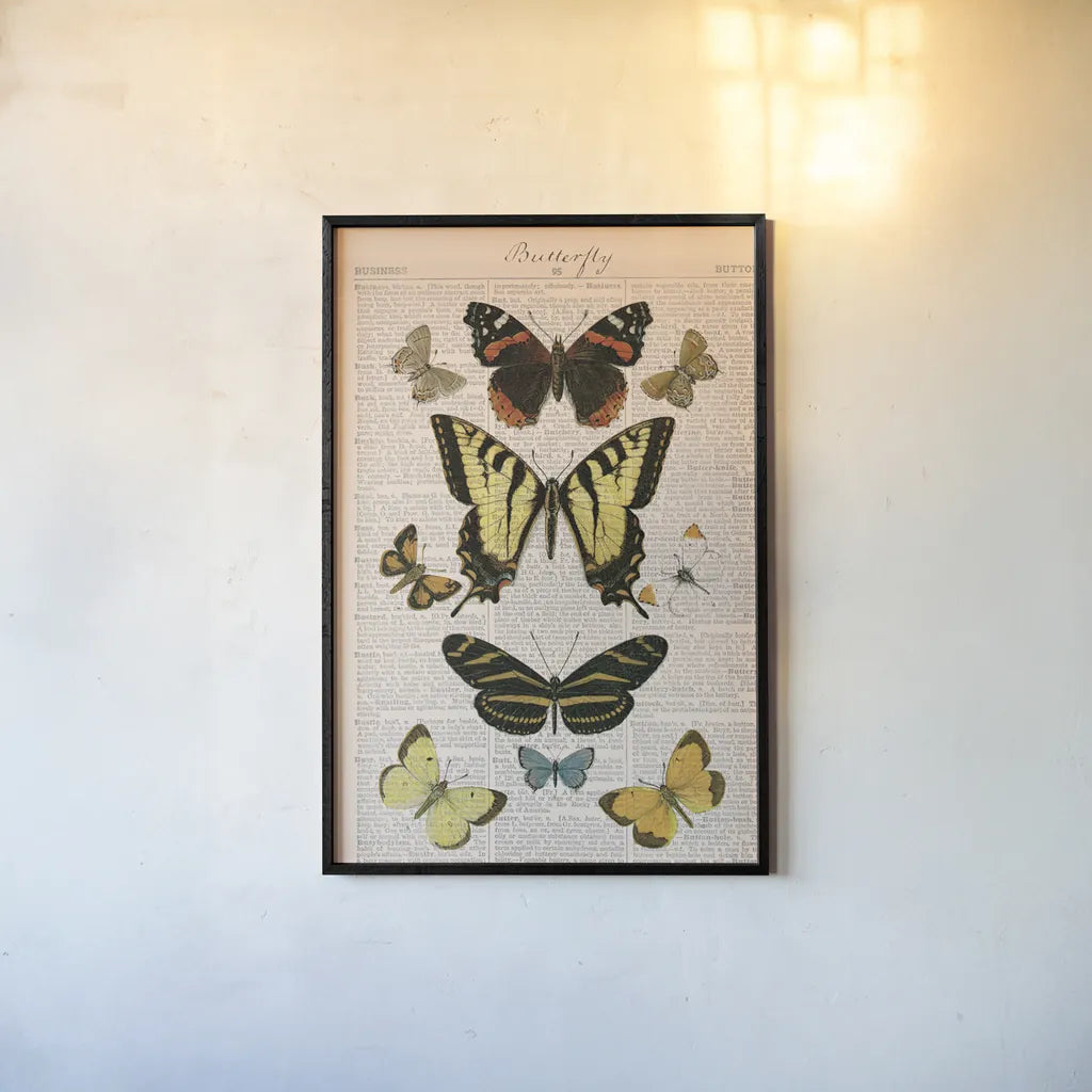 American Butterflies I by Sue Schlabach. shown as a paper print in a black flame. Available as a archival giclee rolled canvas, fine art paper, or poster print. SKU 68218h.