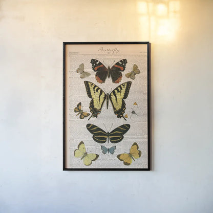 American Butterflies I by Sue Schlabach. shown as a paper print in a black flame. Available as a archival giclee rolled canvas, fine art paper, or poster print. SKU 68218h.