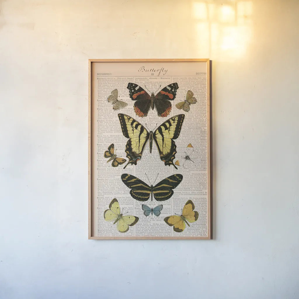 American Butterflies I by Sue Schlabach. shown as a paper print in a natural frame. Available as a archival giclee rolled canvas, fine art paper, or poster print. SKU 68218h.