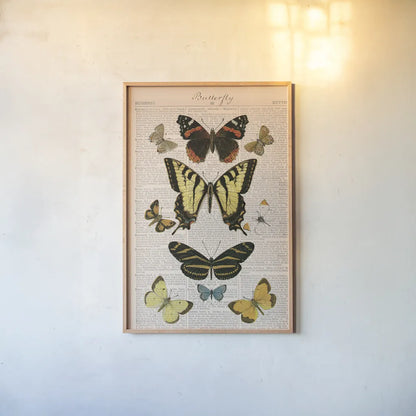 American Butterflies I by Sue Schlabach. shown as a paper print in a natural frame. Available as a archival giclee rolled canvas, fine art paper, or poster print. SKU 68218h.