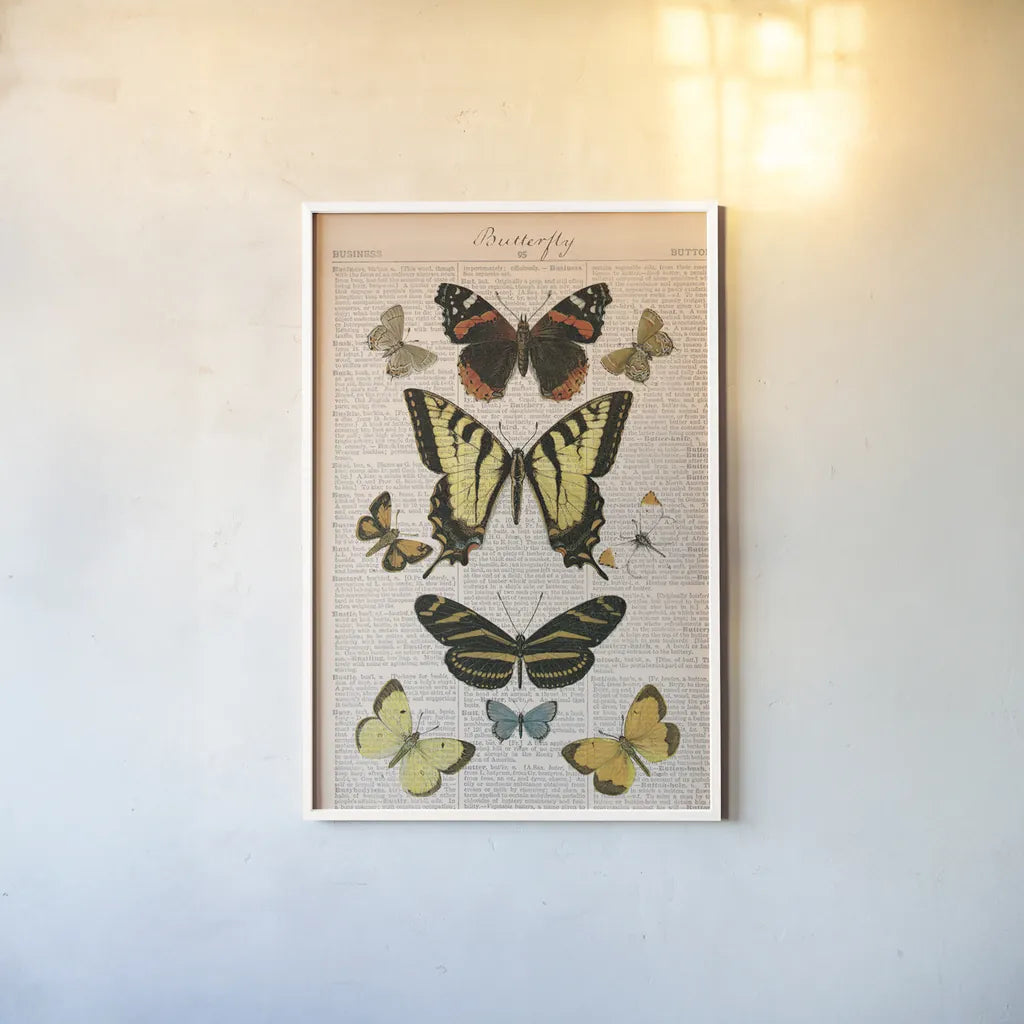 American Butterflies I by Sue Schlabach. shown as a paper print in a white frame. Available as a archival giclee rolled canvas, fine art paper, or poster print. SKU 68218h.