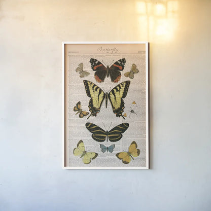 American Butterflies I by Sue Schlabach. shown as a paper print in a white frame. Available as a archival giclee rolled canvas, fine art paper, or poster print. SKU 68218h.