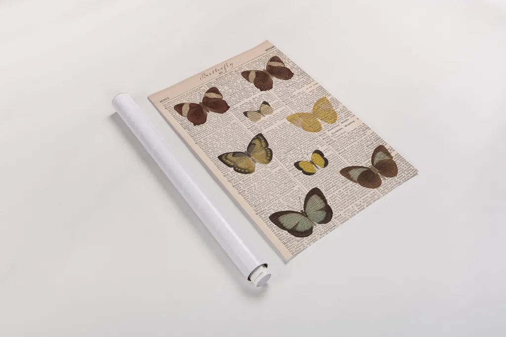 American Butterflies II by Sue Schlabach. shown as a rolled paper print. Available as archival giclee rolled canvas, fine art paper, or poster print. SKU 68219h.