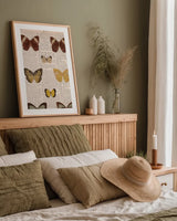American Butterflies II by Sue Schlabach. shown as a paper print in a natural frame. Available as a archival giclee rolled canvas, fine art paper, or poster print. SKU 68219h.