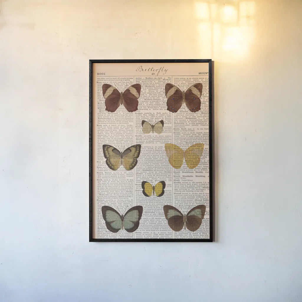 American Butterflies II by Sue Schlabach. shown as a paper print in a black flame. Available as a archival giclee rolled canvas, fine art paper, or poster print. SKU 68219h.