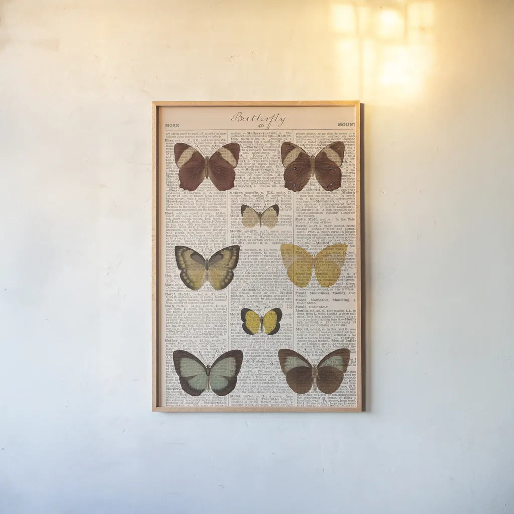 American Butterflies II by Sue Schlabach. shown as a paper print in a natural frame. Available as a archival giclee rolled canvas, fine art paper, or poster print. SKU 68219h.