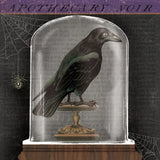 Apothecary Noir I by Sue Schlabach. SKU 74886a. Archival Giclee Fine art print for wall decor.
