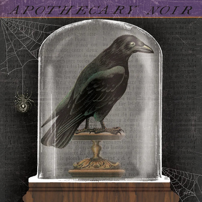 Apothecary Noir I by Sue Schlabach. SKU 74886a. Archival Giclee Fine art print for wall decor.