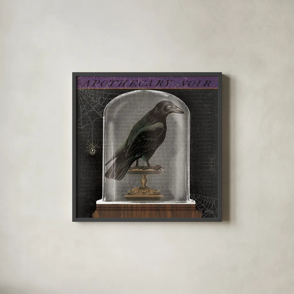 Apothecary Noir I by Sue Schlabach. Shown in a sleek black glass frame for a contemporary gallery look. Available as an archival giclee rolled canvas, fine art paper, or poster print. SKU 74886a.