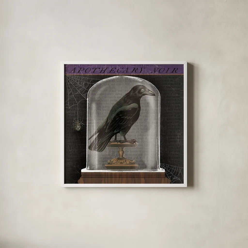 Apothecary Noir I by Sue Schlabach. Shown in a crisp white glass frame for a clean and minimalist style. Available as an archival giclee rolled canvas, fine art paper, or poster print. SKU 74886a.