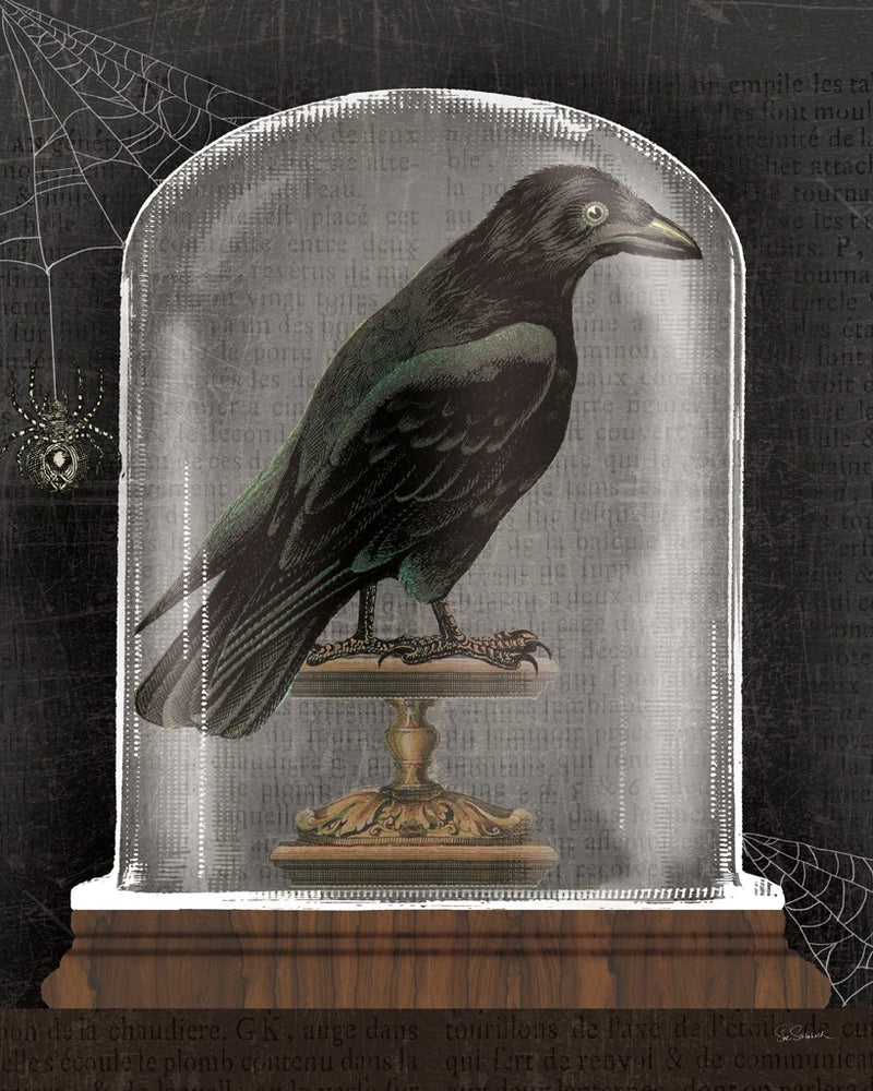 Apothecary Noir I Black by Sue Schlabach
